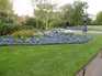  Massif de fleurs bleues